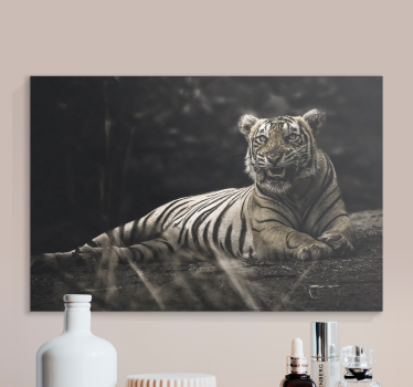 Tiger lied down animal canvas print - TenStickers