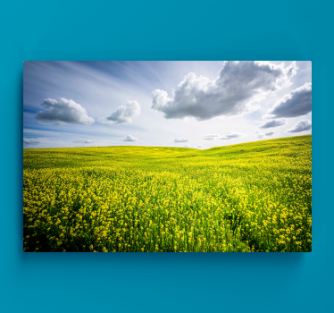 Vibrant yellow field landscape canvas - TenStickers