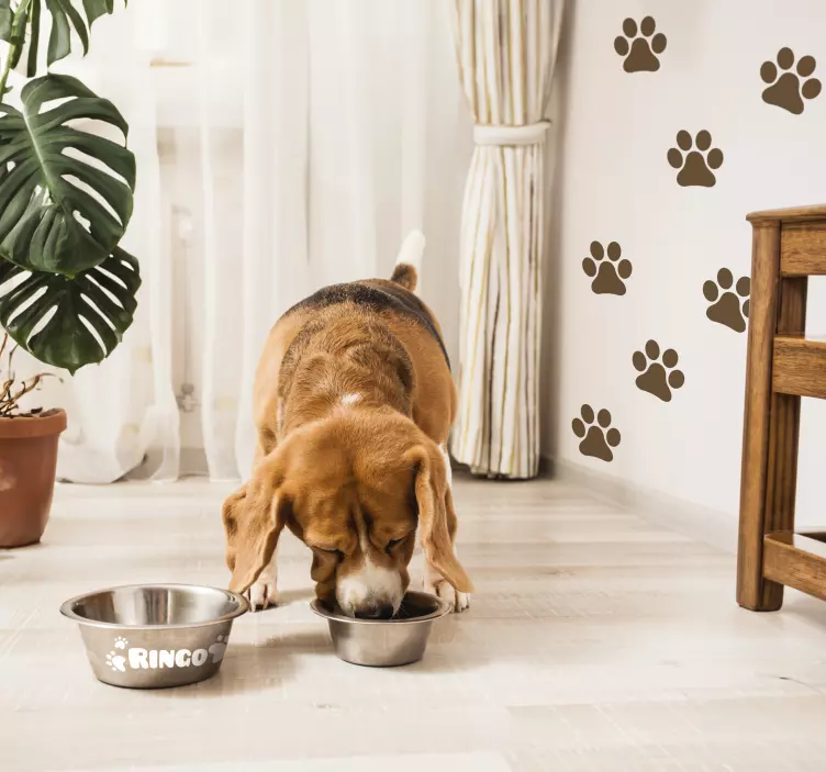 Paw Prints Vinyl Sticker Set - TenStickers