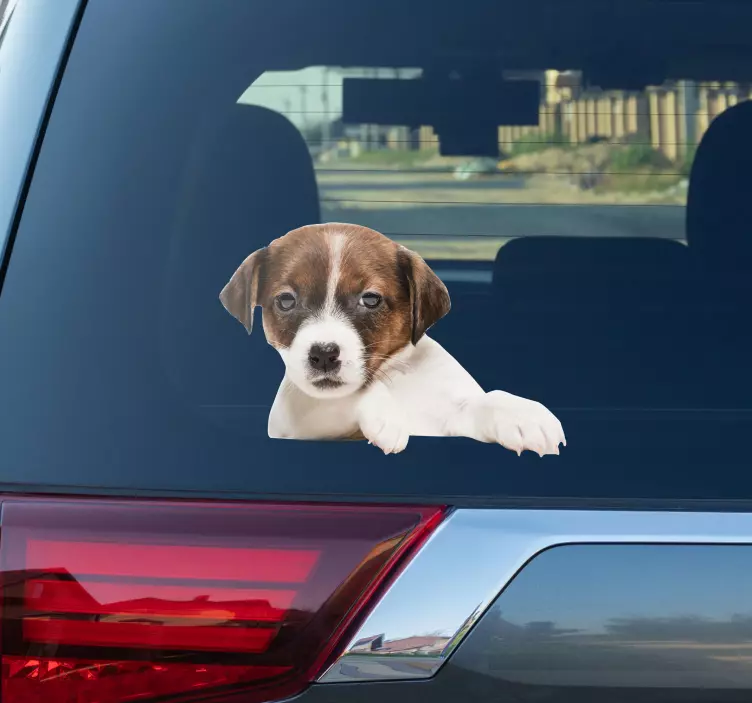 A dog peeking car window sticker - TenStickers
