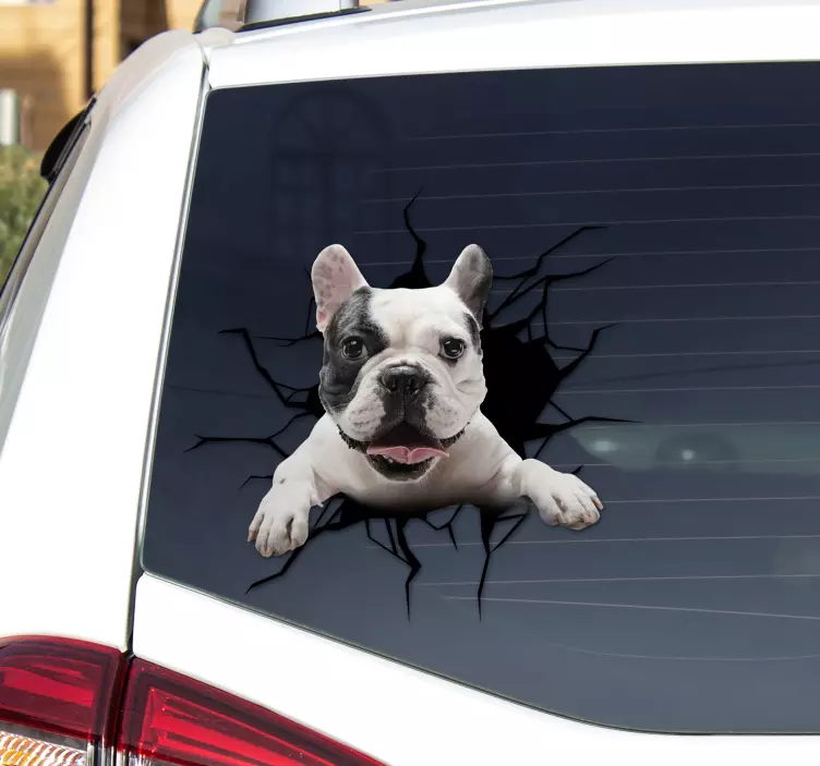 Dog  car window vinyl sticker - TenStickers