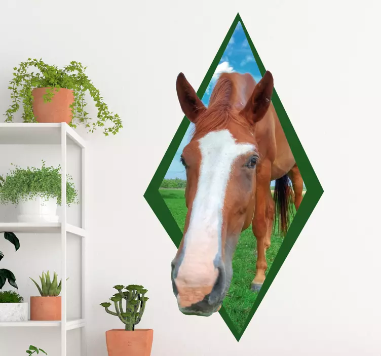 Horse head  farm animal wall sticker - TenStickers