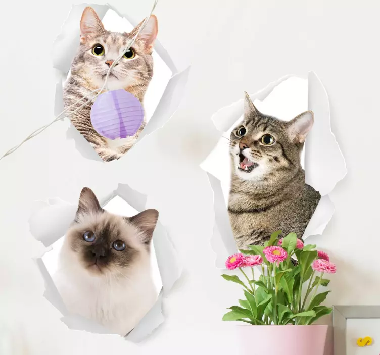 Kittens Wall Mural sticker - TenStickers