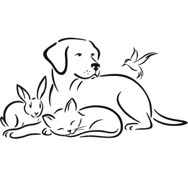 Pets wall decal living room wall sticker - TenStickers