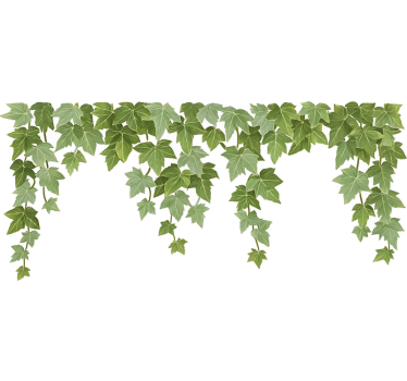 ivy plant dropping from ceiling living room wall sticker - TenStickers