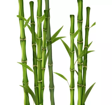 Bamboo Shower Sticker - TenStickers