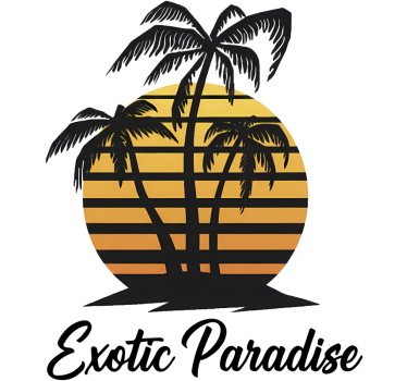 Exotic paradise sunset campervan decal - TenStickers