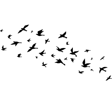 Soaring birds flock campervan decal - TenStickers