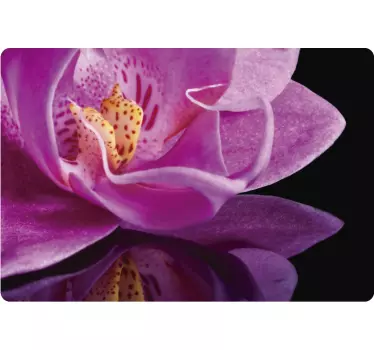 Orchid flowers laptop skin - TenStickers