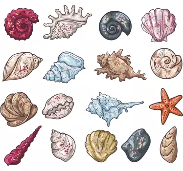 Seashell Sketches Seashell Stickers - TenStickers