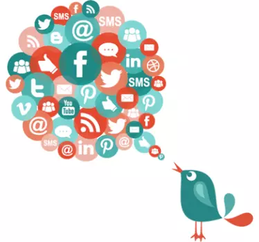 Media Bird Wall Sticker - TenStickers