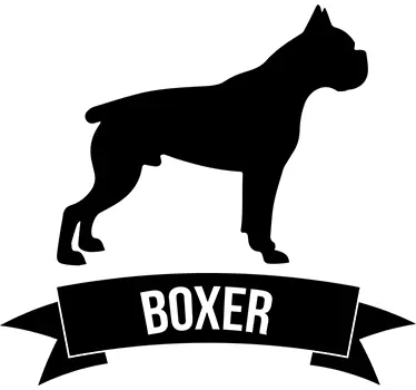 Boxer Dog Wall Sticker - TenStickers