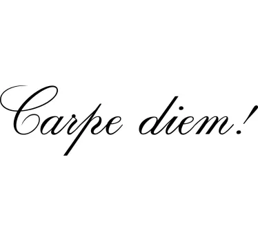 Carpe diem motivational t-shirt - TenStickers
