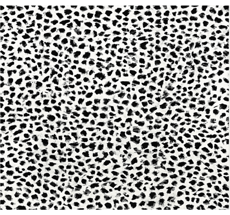 Monochrome Leopard Print dining room vinyl rug - TenStickers
