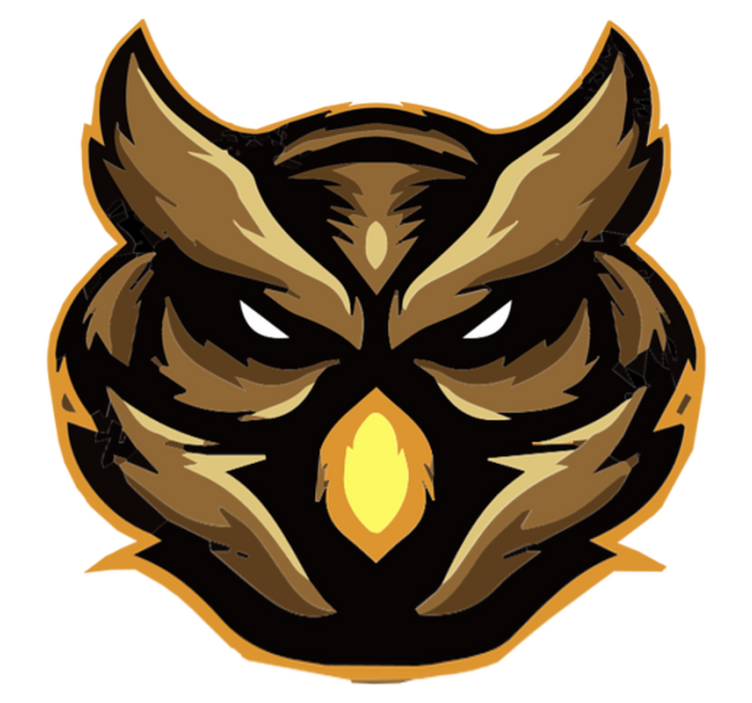 Fierce owl emblem animal vinyl rug - TenStickers