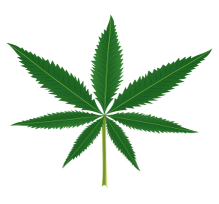 Floral vinyl rug with cannabis leaf design - TenStickers