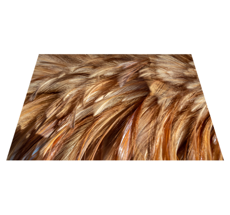 Fluffy tail feathers animal print vinyl rug - TenStickers