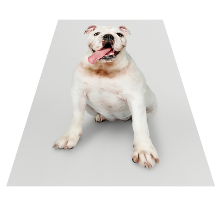 White Bull dog animal rug - TenStickers