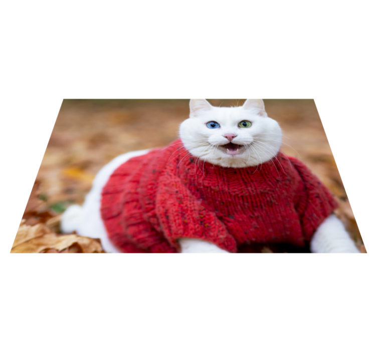 Playful Cat Sweater animal vinyl rug - TenStickers