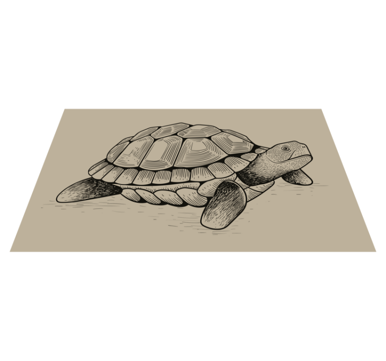 Tortoise Illustration animal vinyl mat - TenStickers