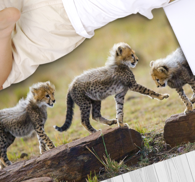 Cheetah cubs adventure animal vinyl rug - TenStickers