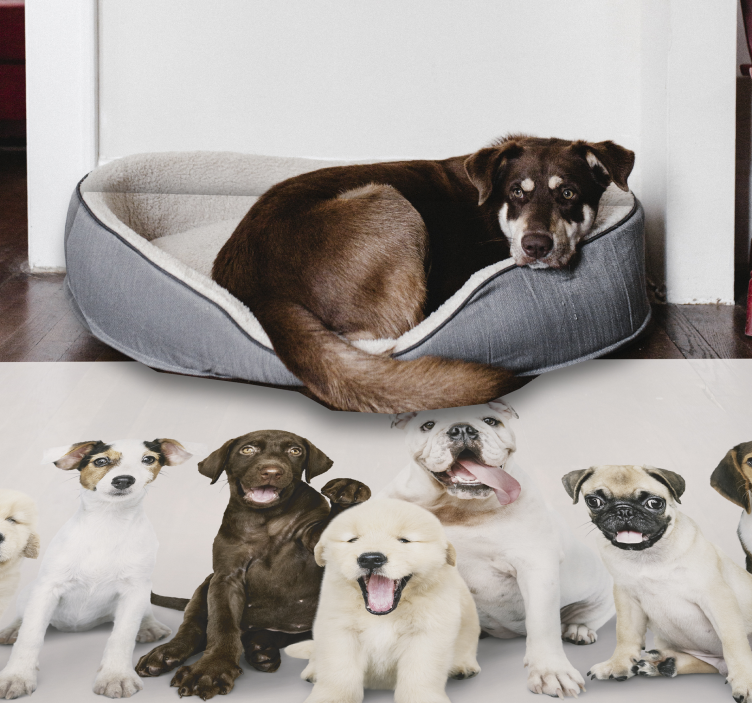 Adorable Puppies Gathering animal vinyl rug - TenStickers