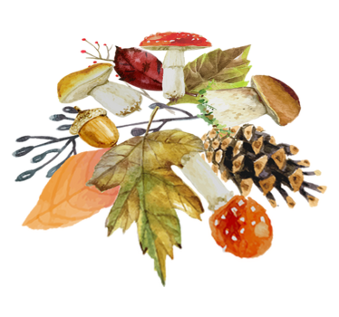 Nature vinyl rug with forest leaves and fruits - TenStickers