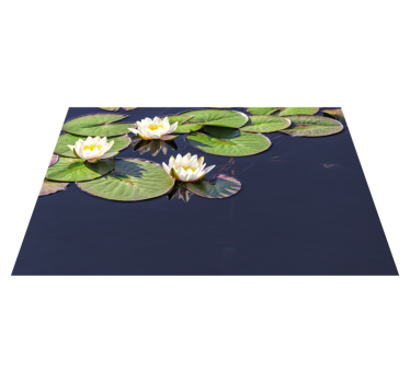 Lotus realistic in pond flower rug - TenStickers