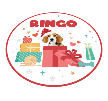 Personalized pet festive floor carpet - TenStickers
