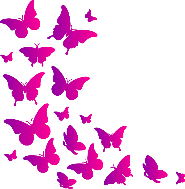 Animal vinyl rug window butterfly - TenStickers