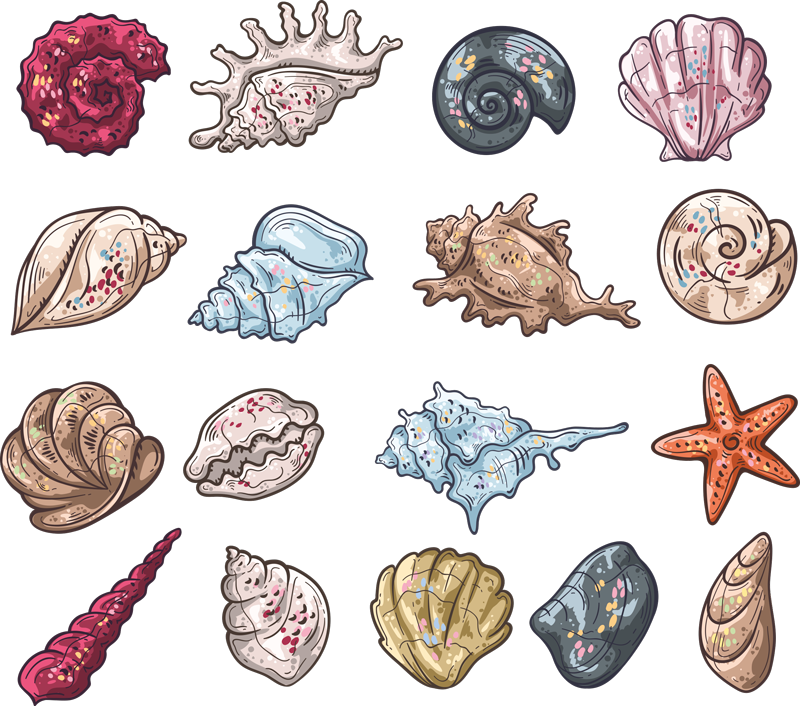 Animal vinyl rug seashell illustrations - TenStickers
