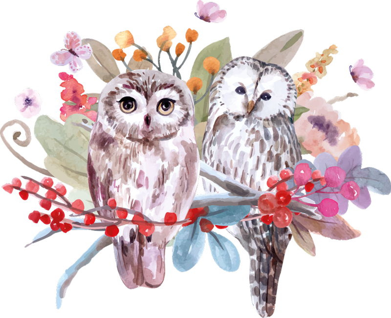 Animal vinyl rug owls in nature - TenStickers