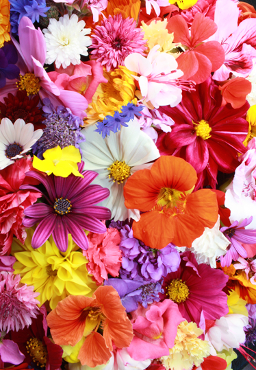 Floral vinyl rug with an abundance of colorful blooms - TenStickers