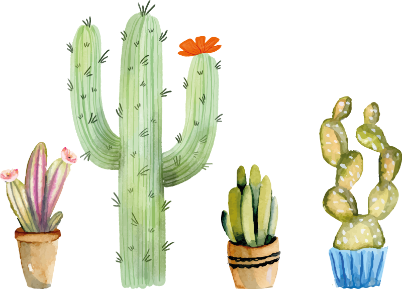 Dining room vinyl rug with assorted cactus designs - TenStickers