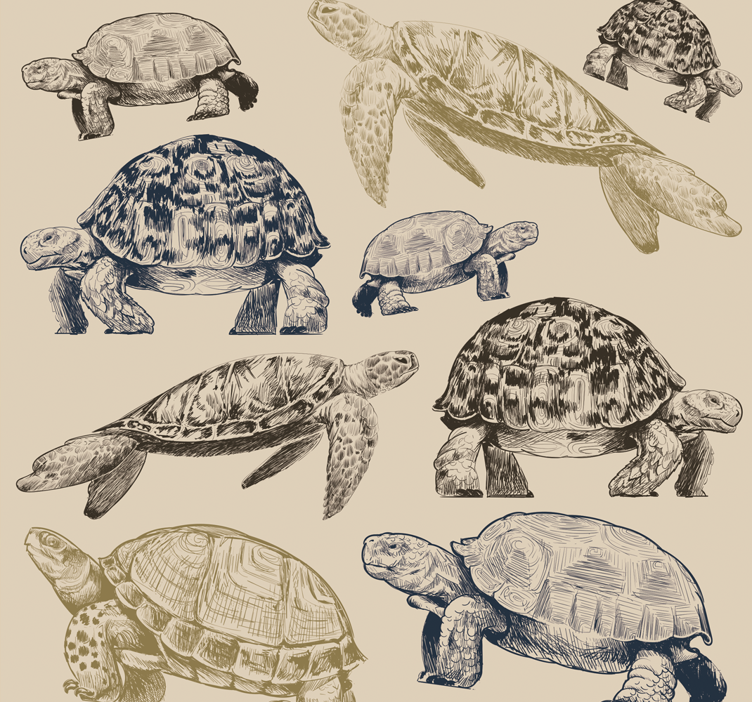 Bedroom vinyl rug with turtles on beige background - TenStickers