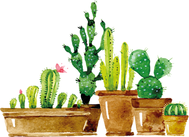 Floral vinyl rug for your homemade cactus garden - TenStickers