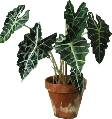 Floral vinyl rug with geometric plant pot - TenStickers