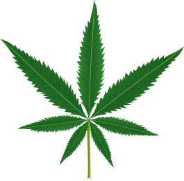 Floral vinyl rug with cannabis leaf design - TenStickers