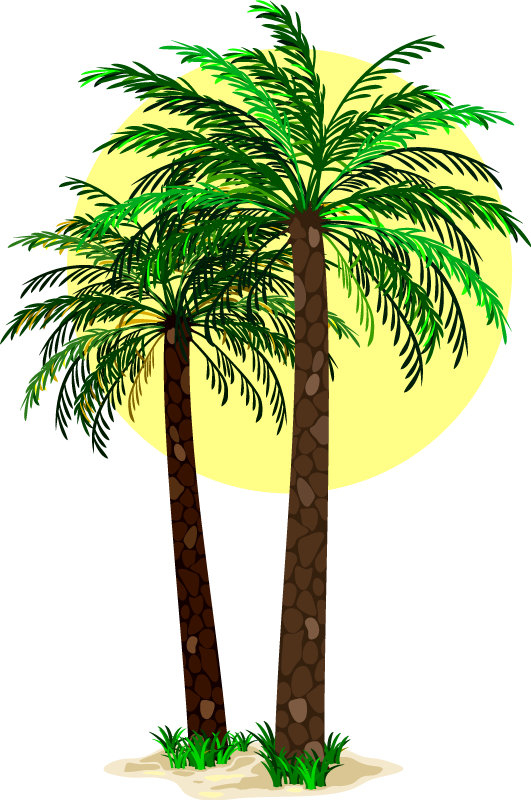 Floral vinyl rug tropical palm trees - TenStickers