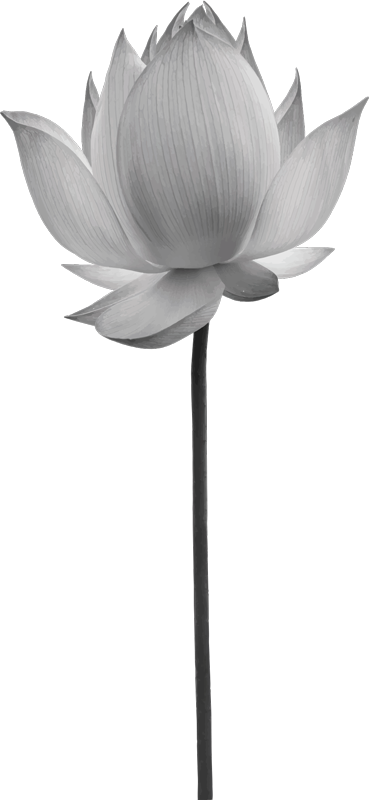 Bedroom vinyl rug lotus solitary bloom - TenStickers