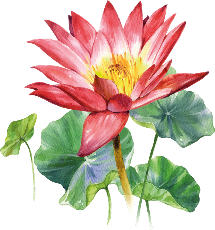 Bedroom vinyl rug lotus watercolor dream - TenStickers