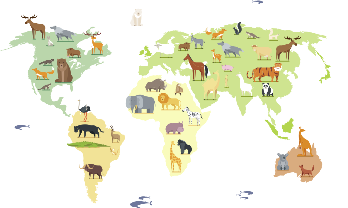 Bedroom vinyl rug featuring colorful animals worldwide - TenStickers