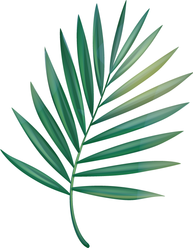 Leaf palm bathroom vinyl rug - TenStickers
