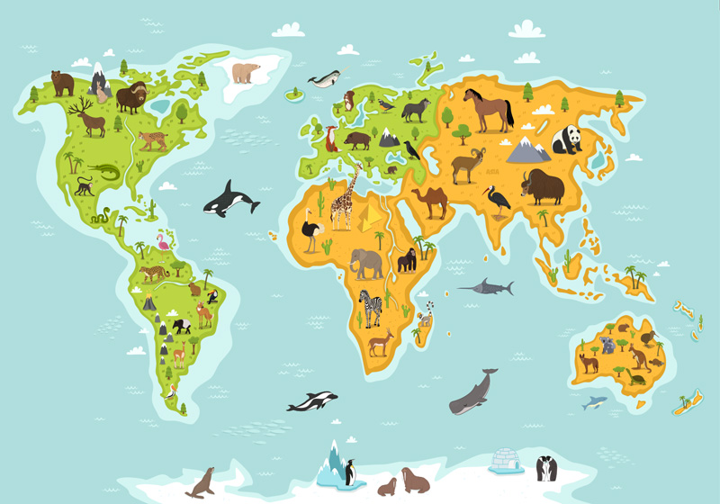 World map vinyl rug children’s mural of fauna and flora - TenStickers