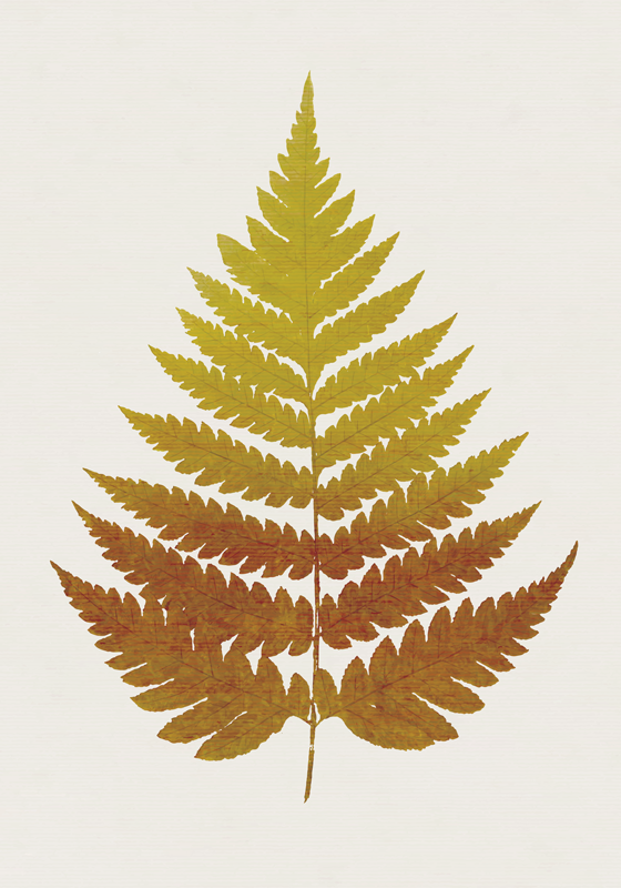 Floral vinyl rug with golden fern leaf design - TenStickers