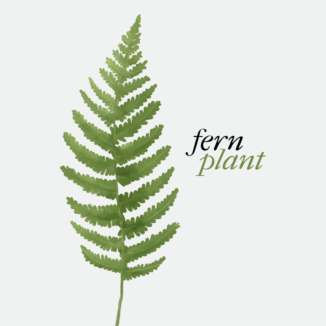 Custom vinyl rug fern plant minimalist style 2 - TenStickers