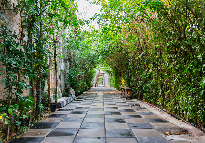 Green vinyl rug serene garden pathway - TenStickers