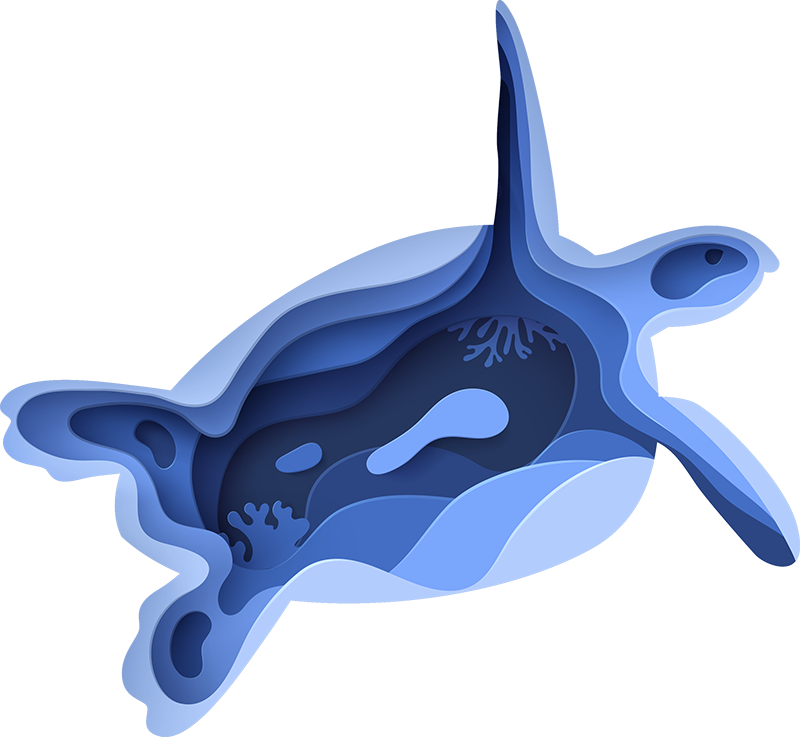 Sea Turtle Shape animal vinyl rug - TenStickers