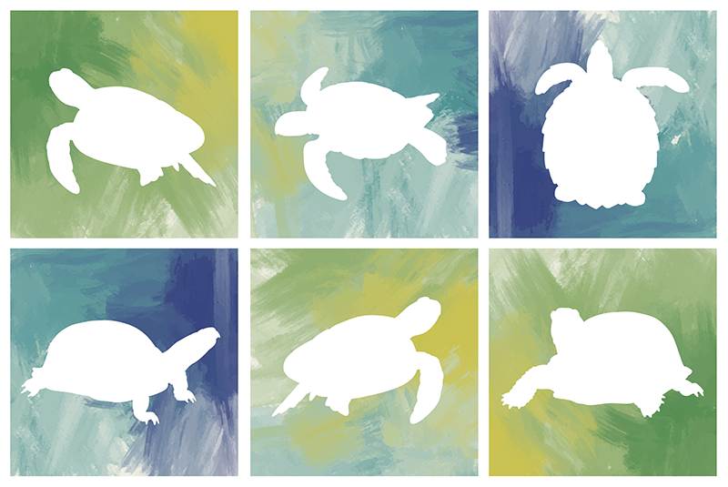 Colorfull turtle pack tile animal vinyl rug - TenStickers