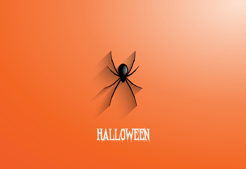 Halloween vinyl rug halloween spider design - TenStickers